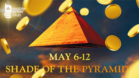 Акция "В тени Пирамид"